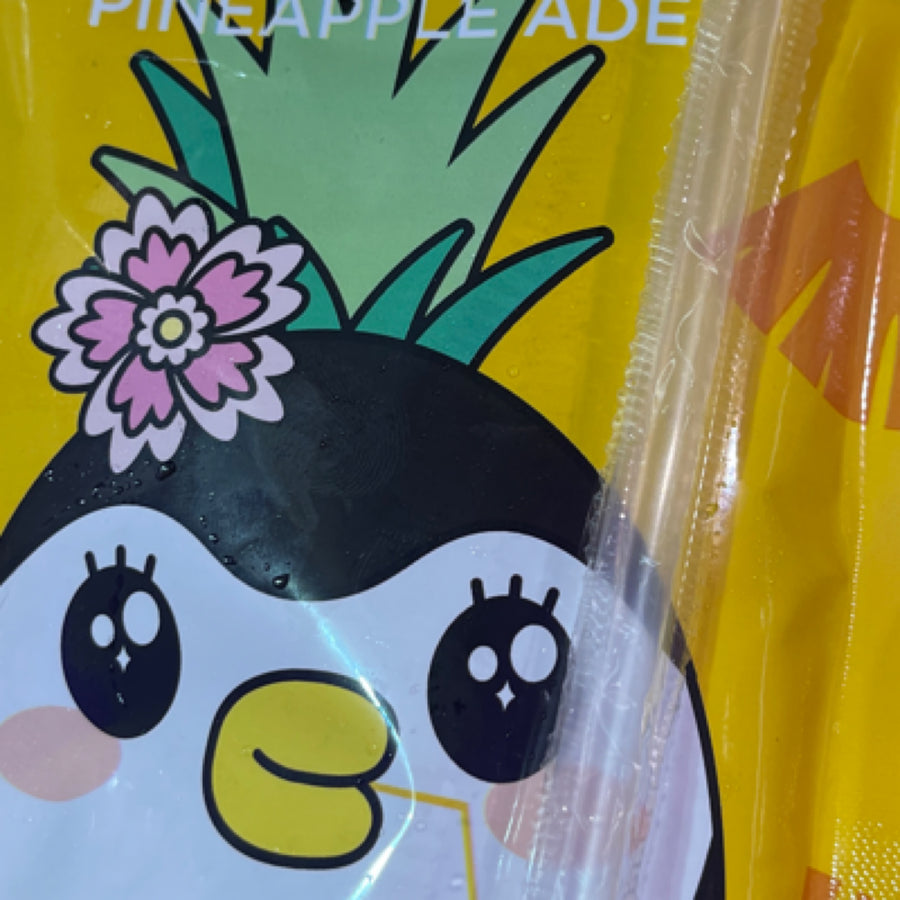 Cantabile Pineapples — front of pack at Exotic Snaxx Chicago