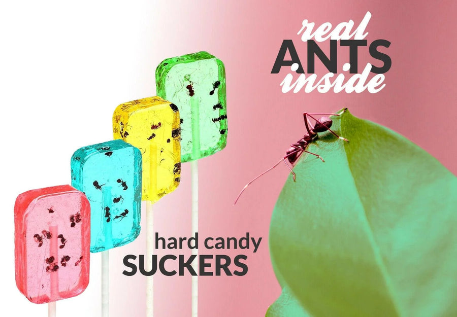 Hotlix Insect Candy Watermelon — front of pack at Exotic Snaxx Chicago