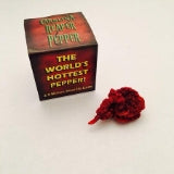 Single Whole Carolina Reaper Pepper